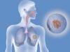 Lung Cancer Susceptibility Influenced by Genetic Makeup