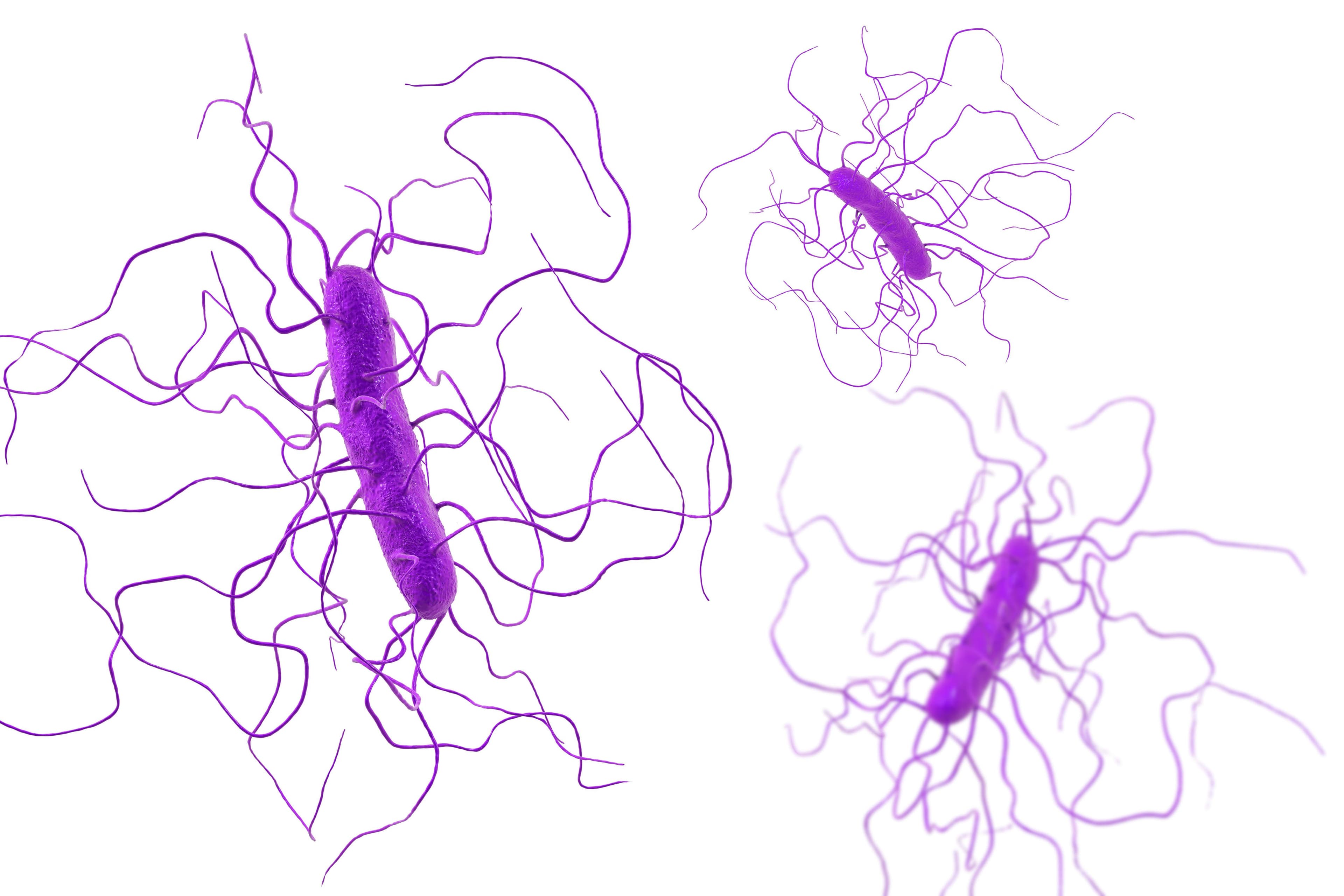 Assessing the Risk Factors for C. Diff Infection, Recurrent C. Diff Infection