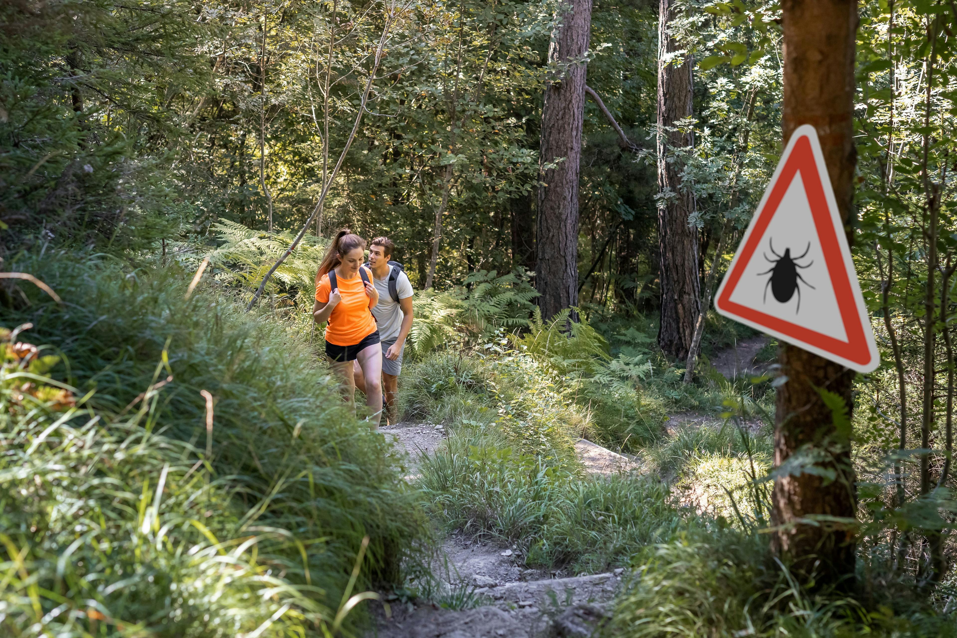 Man and woman hiking in Infected ticks forest with warning sign. Risk of tick-borne and lyme disease - Image credit: 24K-Production | stock.adobe.com