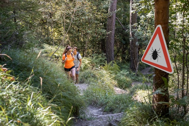 Man and woman hiking in Infected ticks forest with warning sign. Risk of tick-borne and lyme disease - Image credit: 24K-Production | stock.adobe.com