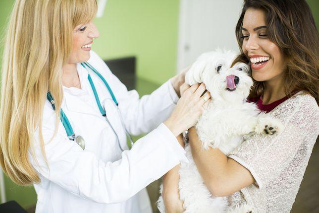 National Retailer Expanding Veterinary Services with New Online Pet Pharmacy