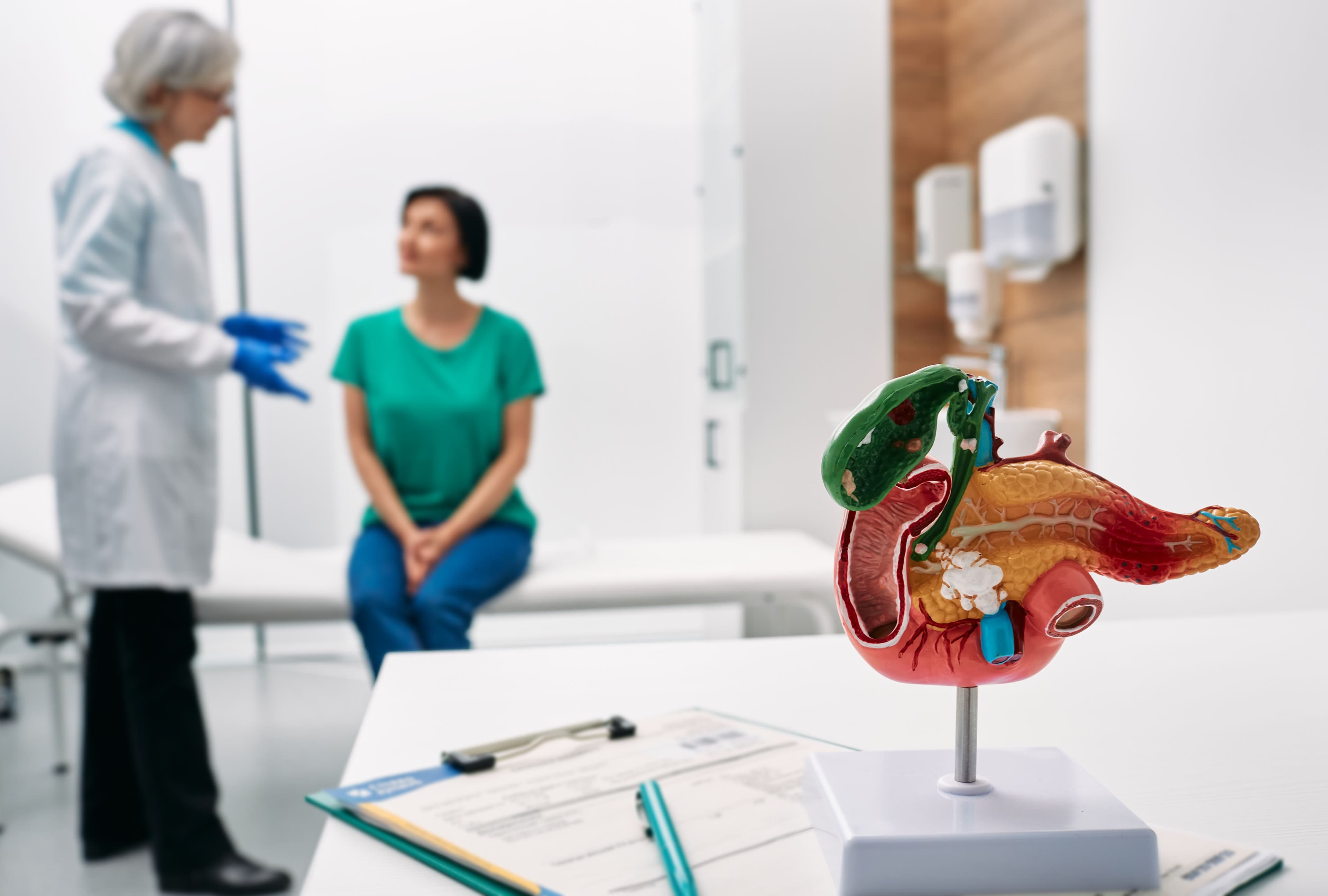 Gastroenterology consultation. Anatomical model of pancreas on doctor table over background gastroenterologist consulting woman patient with gastrointestinal disorders - Image credit: Peakstock | stock.adobe.com 