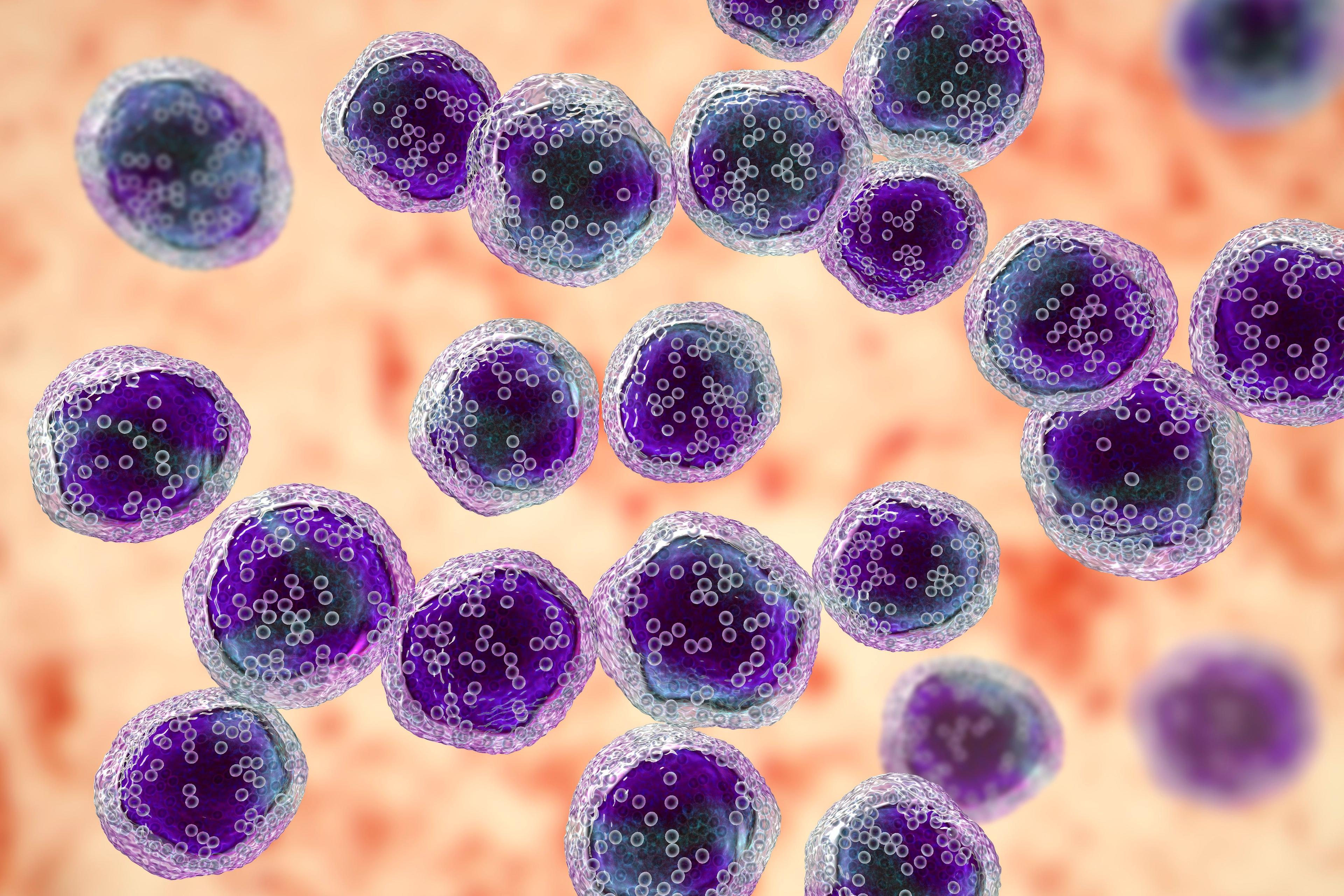 Burkitt's lymphoma cells, a cancer of the lymphatic system, monoclonal B-cell tumor, 3D illustration