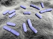 Novel Rapid Test Identifies Treatment for Drug-Resistant Bacteria