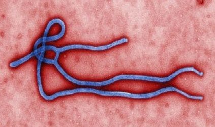 Referencing the Past to Predict Ebola's Future: Marburg Virus in Europe