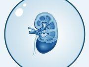 Kidney Cancer Recurrence Stopped With Adjuvant Therapy