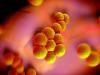 Trending News Today: HHS Invests $250 Million to Fight Superbugs