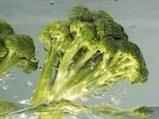 Broccoli Extract Demonstrates Potential for Diabetes Blood Glucose Control