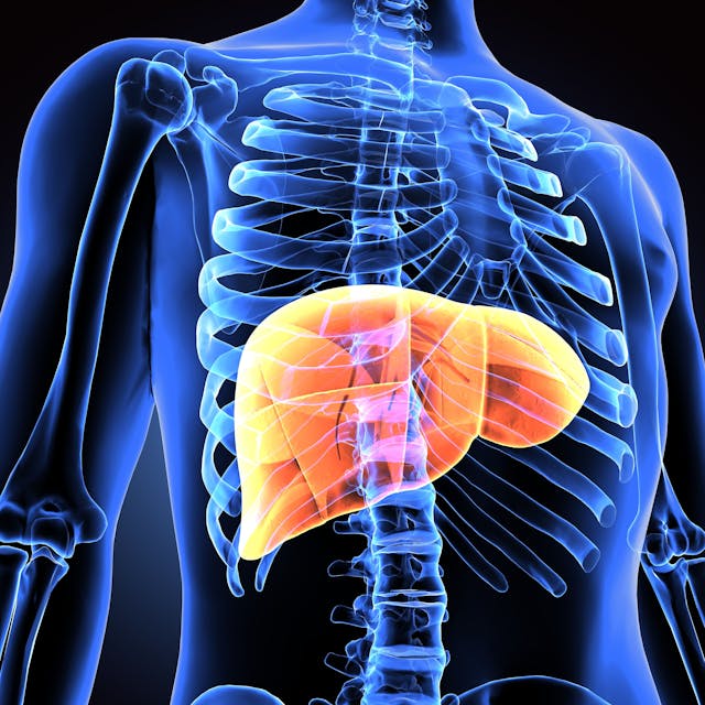 Liver Disease | Image Credit: PIC4U - stock.adobe.com