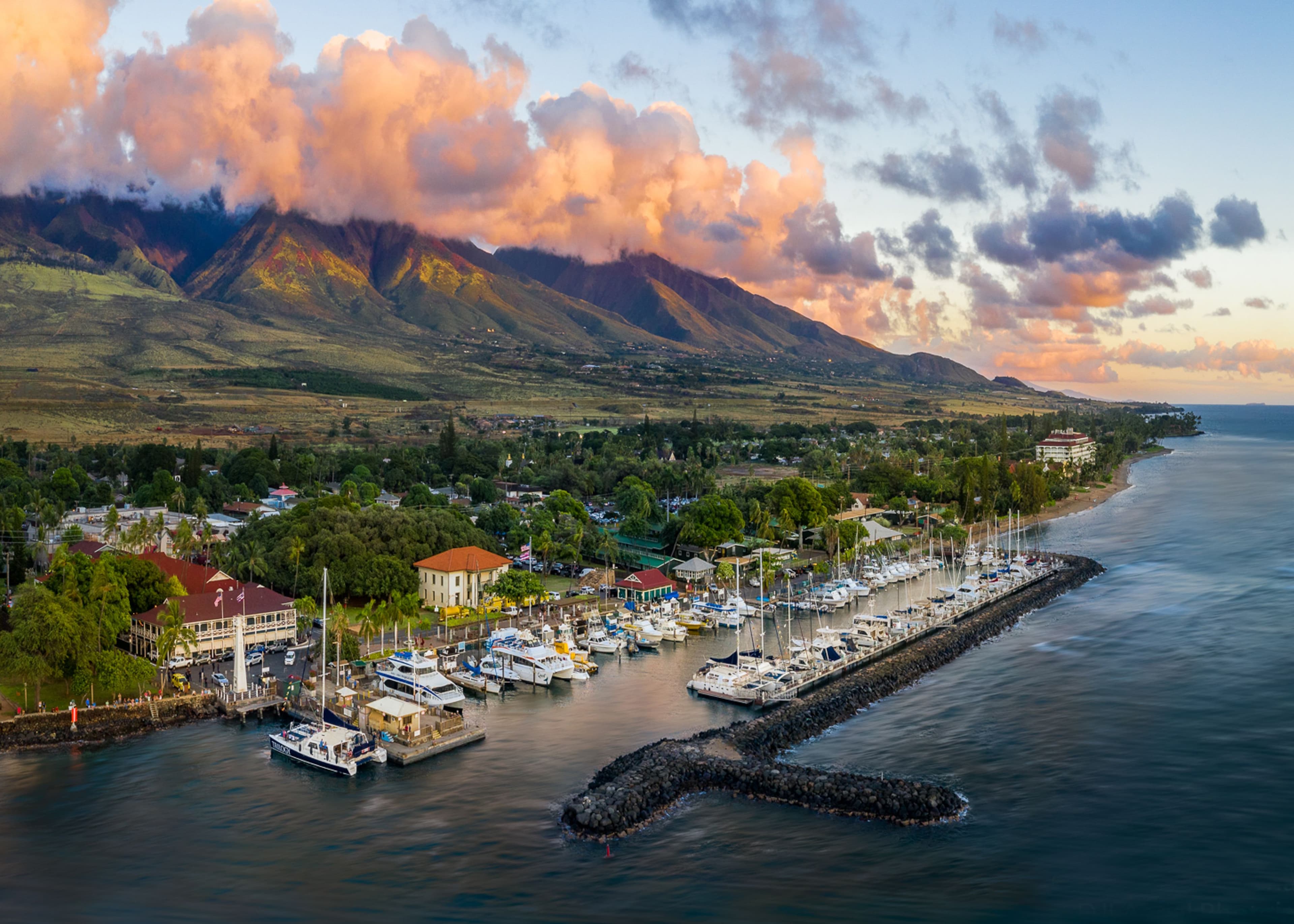 Hawaiʻi Cancer Consortium Tackles Disparities in Clinical Trial Access for Pacific Islanders and Asian Americans 