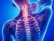 Immune Suppression Drug Could Prevent Pain from Spinal Cord Injuries