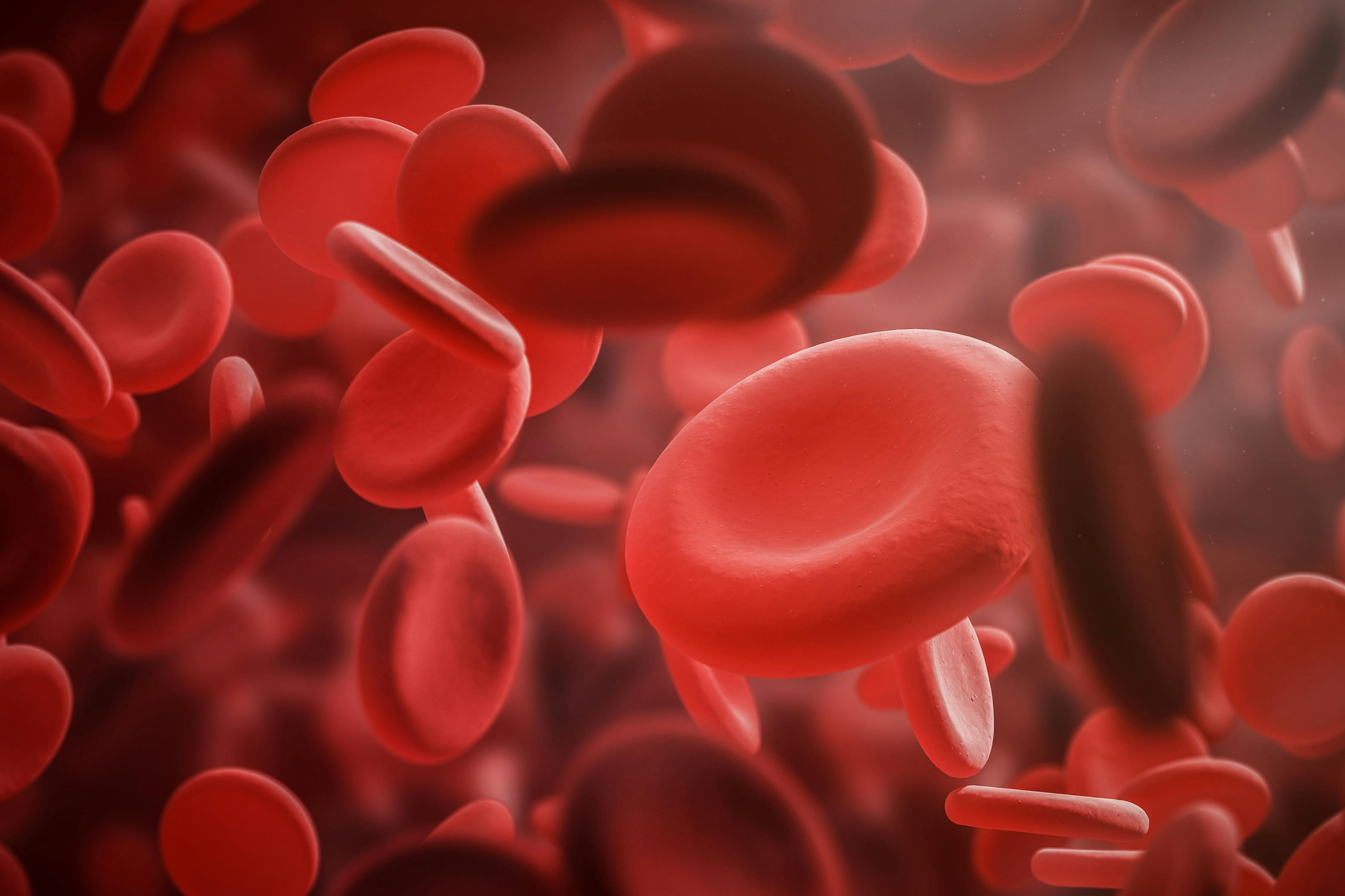 Hematology, MDS, Red Blood Cell | Image Credit: ImageFlow - stock.adobe.com