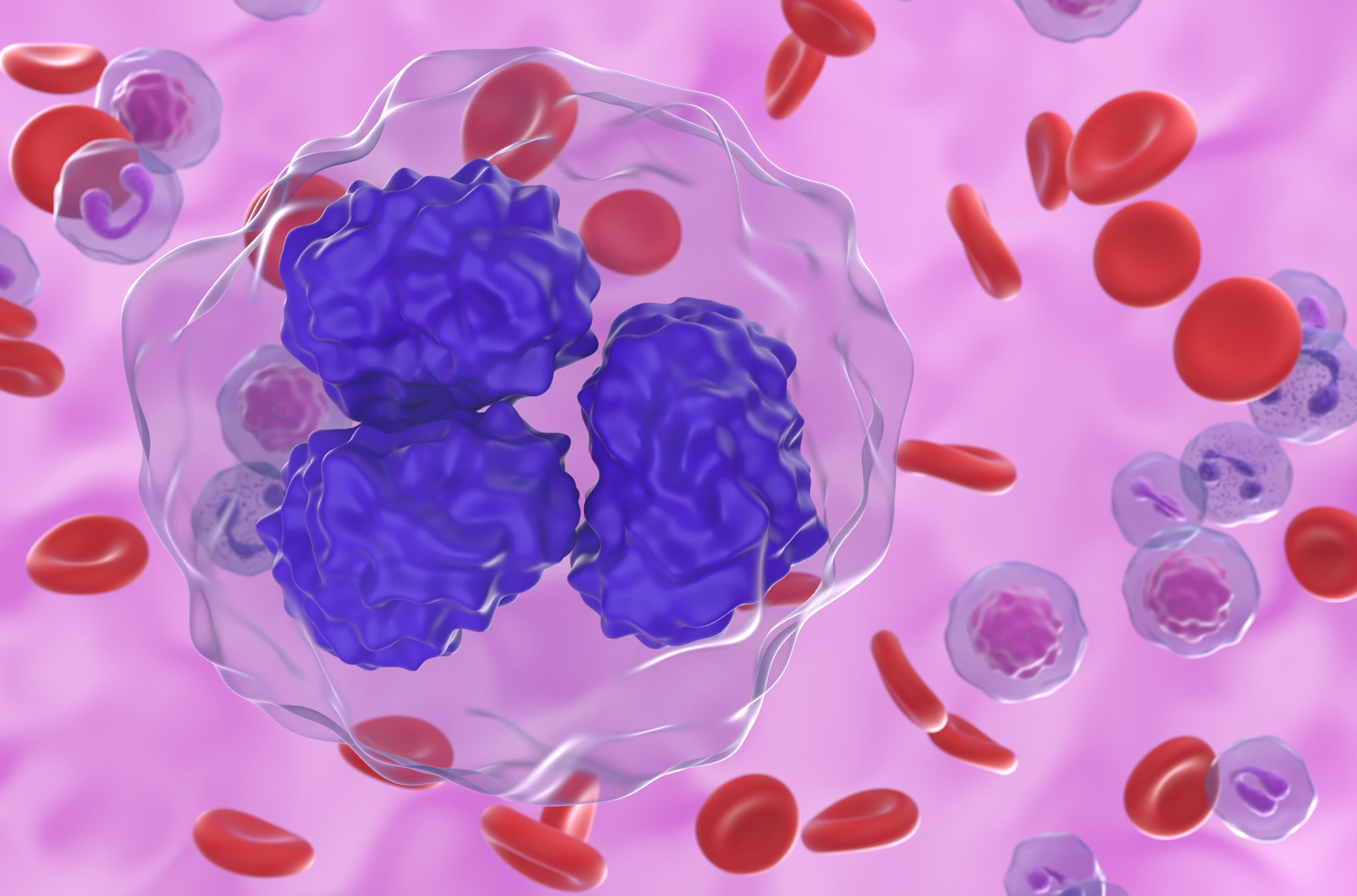 Follicular lymphoma (FL) cells in blood flow - closeup view 3d illustration