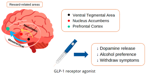 Figure 5: Pharmacology of GLP-1 Receptor Agonist Treatment in Patients With Chemical Dependency  GLP-1, glucagon-like peptide 1.